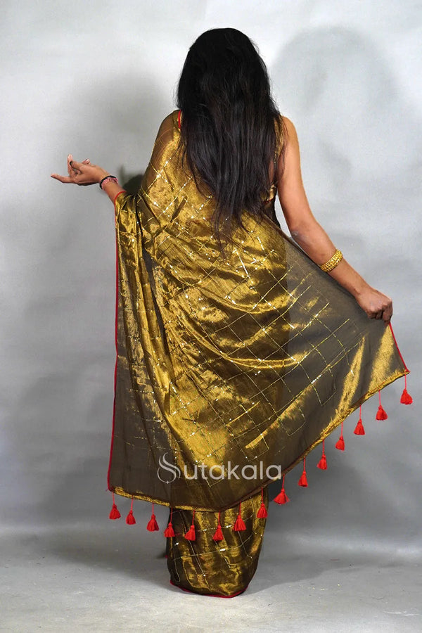 Tissue Silk Saree with Elegant Sequence Work