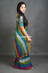 Elegant Multicolor Pastel Stripe Saree