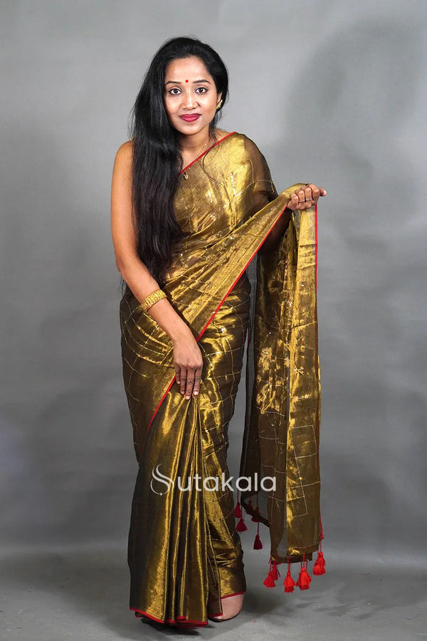 Tissue Silk Saree with Elegant Sequence Work