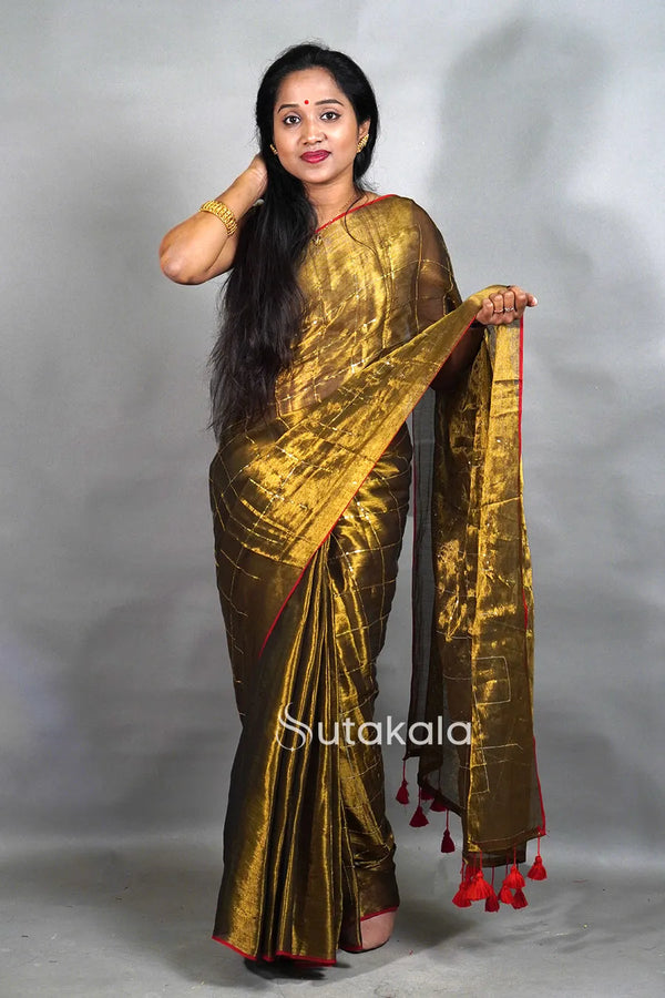 Tissue Silk Saree with Elegant Sequence Work