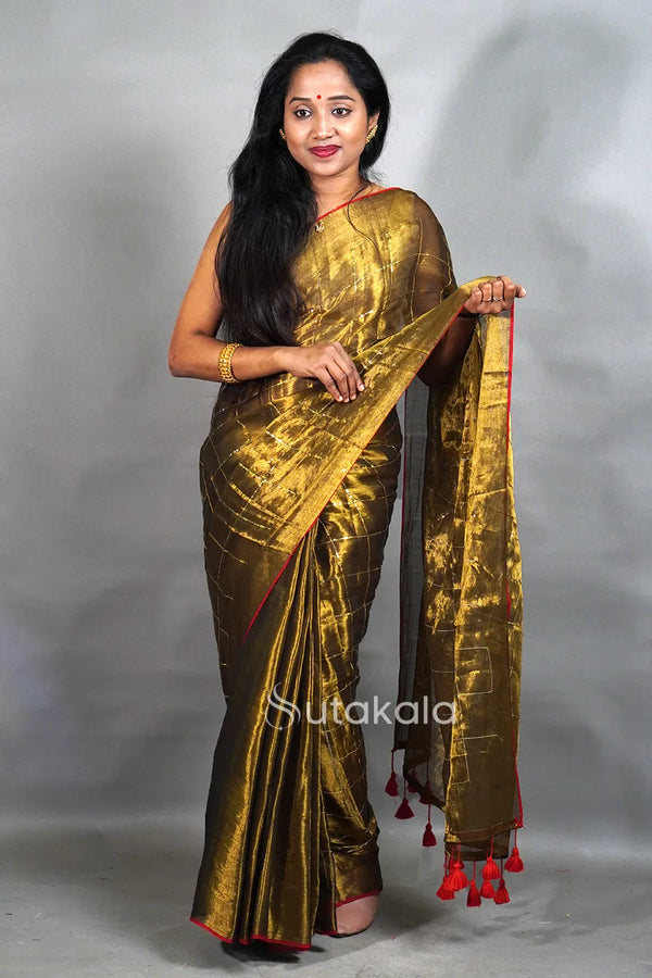 Tissue Silk Saree with Elegant Sequence Work